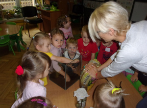 Patyczaki w Tuptusiach