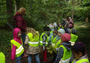 dzieci w kamizelkach odblaskowych podczas spaceru po arboretum