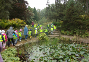 dzieci w kamizelkach odblaskowych podczas spaceru po arboretum