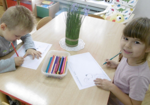 Zdjęcie 12 na 14