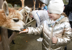 Smyki karmią zwierzątka w Dobroniance