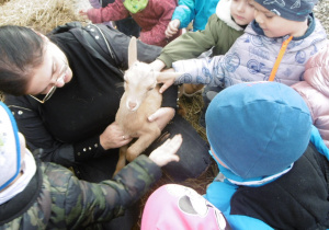 Smyki oglądają zwierzątka w Dobroniance