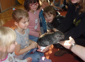 ZOO Safari w przedszkolu