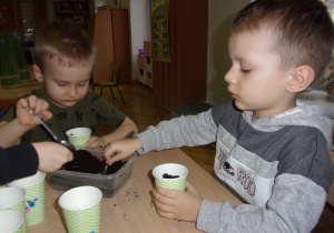 Smyki sieją nasiona