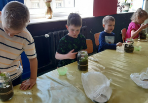 Zdjęcie 19 na 20