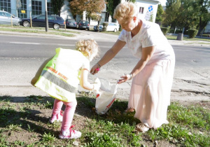Zdjęcie 3 na 28