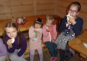 Zdjęcie 23 na 23