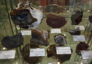 dzieci oglądają eksponaty Muzeum Geologicznego