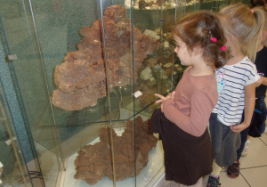 dzieci oglądają eksponaty Muzeum Geologicznego