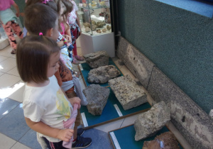 dzieci oglądają eksponaty Muzeum Geologicznego
