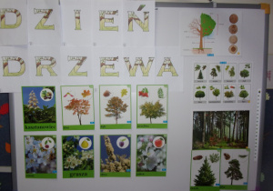 dekoracja Juniorów dotycząca Dnia drzewa
